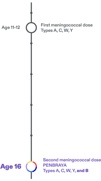 A meningitis vaccination schedule showing that teens typically receive their first meningitis shot at age 11 or 12 for types A,C,W, and Y, and at age 16 they can get PENBRAYA (Meningococcal groups A,B,C,W, and Y).